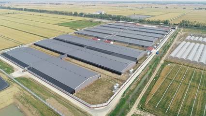 江蘇農業農村重大項目投資規模創新高，近千項目總投資超2200億元